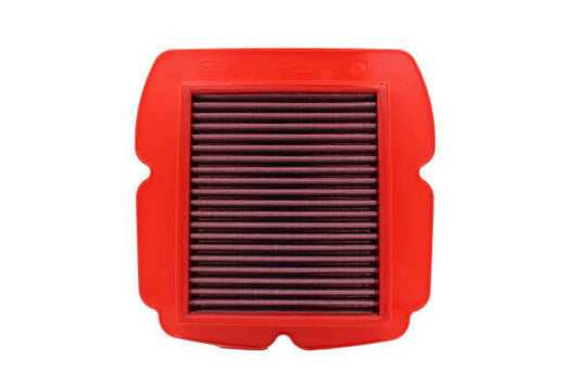 BMC Air Filter CAGIVA RAPTOR 650 – FM343/04 (Multi-bike)
